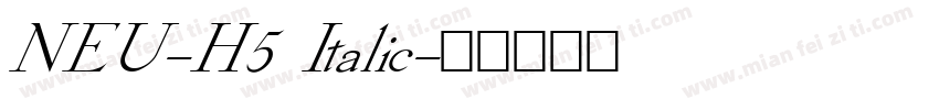 NEU-H5 Italic字体转换